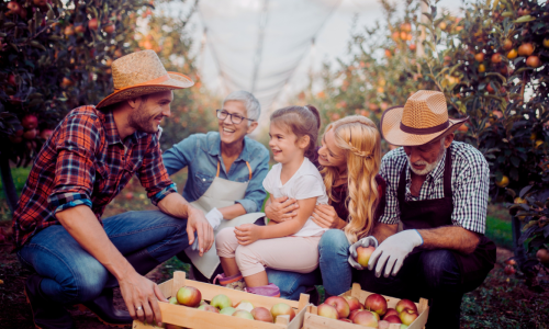 friends collecting vegetables